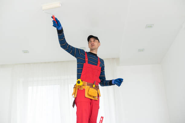 Best Drywall Sanding and Smoothing  in Allendale, CA